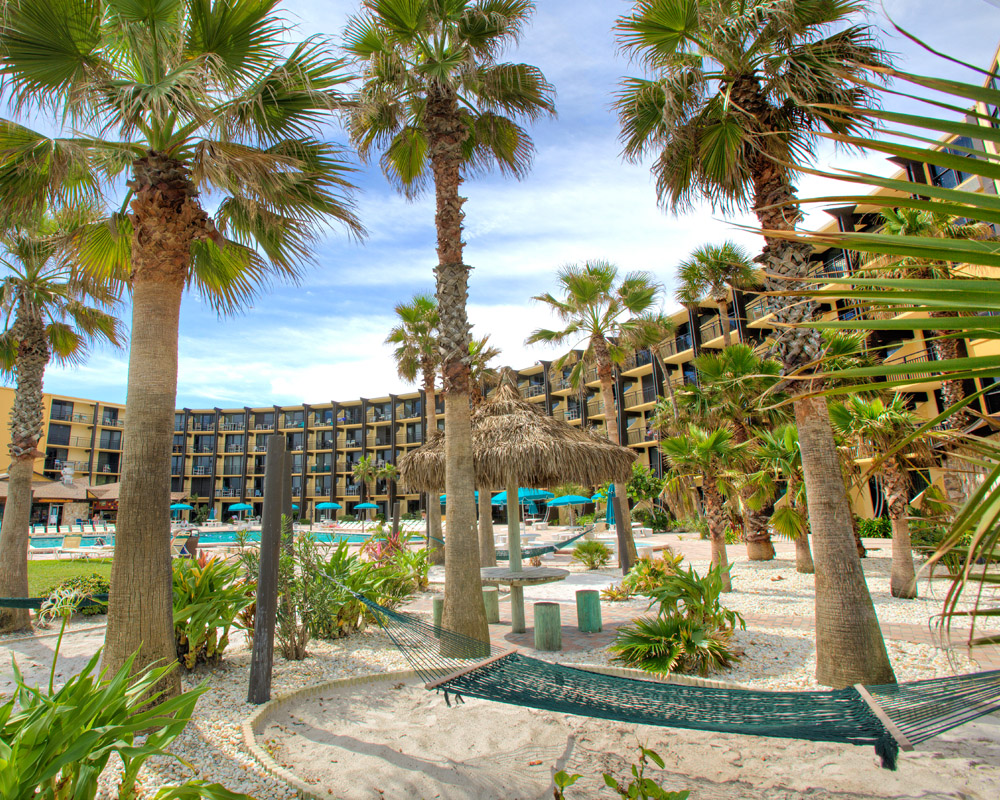 Hammock in beach area