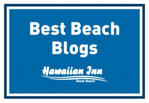 Best Beach Blogs