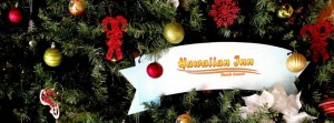 Hawaiian Inn Christmas Banner