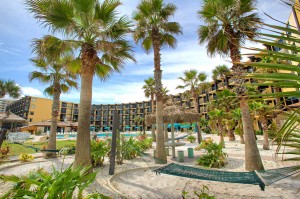 Hawaiian Inn Hammock View