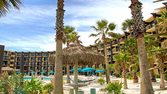 Hawaiian Inn Hammock View