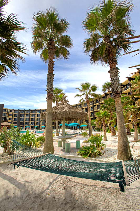 Hawaiian Inn Hammock View